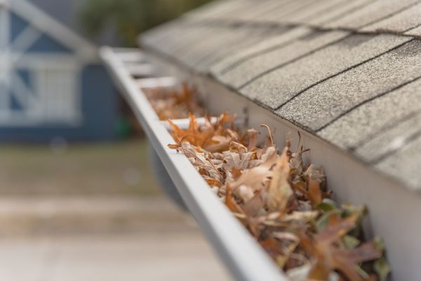 Leaf Barrier Installation in Roswell